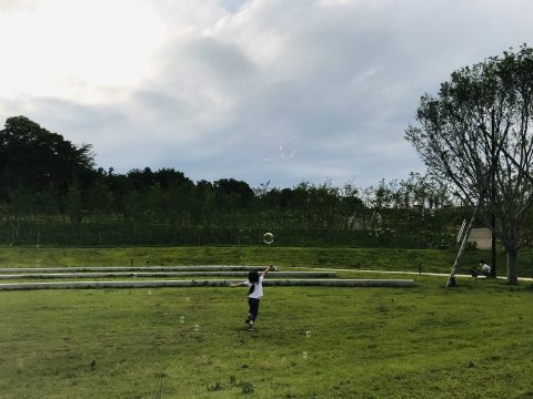 才能が開花した軌跡