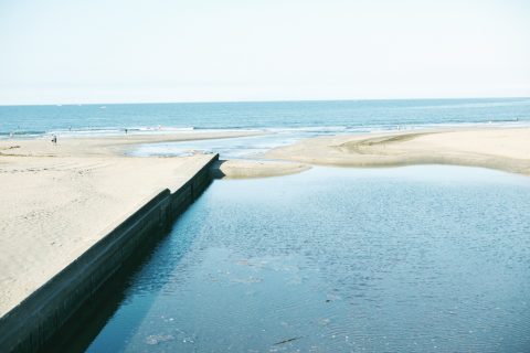 感性を支えるもの、知るということ